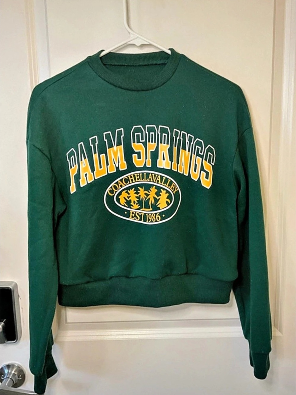 Palm Springs Graphic Sweatshirt in Green Like New
